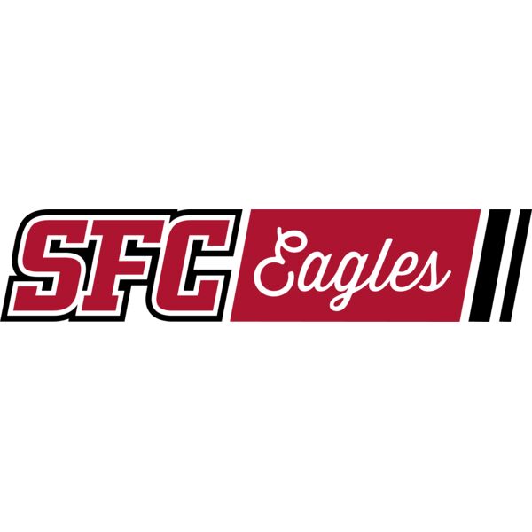 SFC Eagles RedBlack Blocks Thumbnail