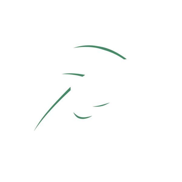 CSA Hook Circle Text WhiteGreen Thumbnail