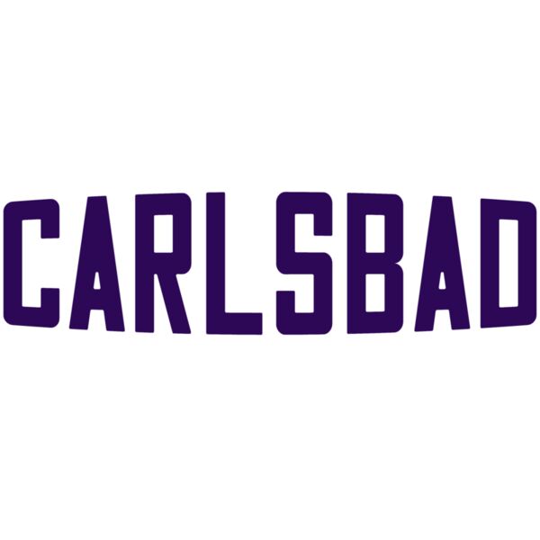 Carlsbad Basketball Ball WhitePurple Thumbnail